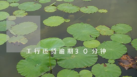 工行还贷逾期30分钟 工行还贷逾期30分钟