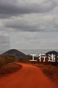 工行违法放贷罪河北
