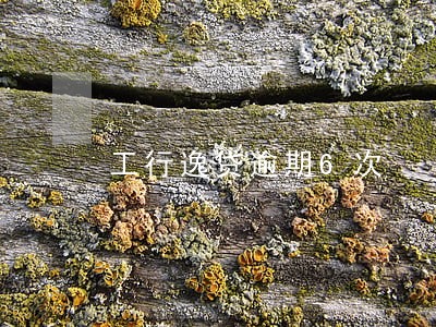 工行逸贷逾期6次