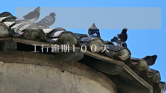 工行逾期100天 工行逾期100天