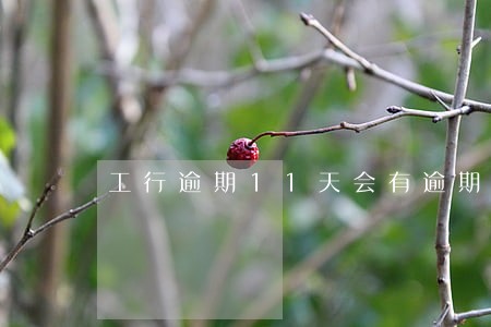 工行逾期11天会有逾期吗 工行逾期11天会有逾期吗