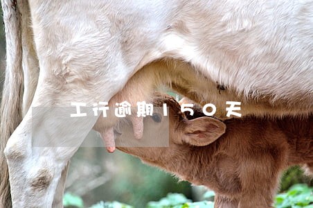 工行逾期150天