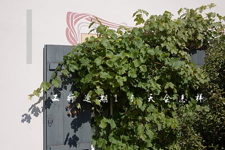 工行逾期15天会怎样