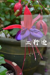 工行逾期180天怎么消除 工行逾期180天怎么消除