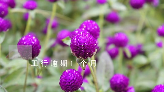 工行逾期1个月 工行逾期1个月