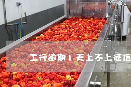 工行逾期1天上不上征信 工行逾期1天上不上征信