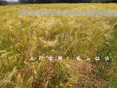 工行逾期1天上征信 工行逾期1天上征信