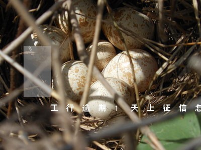 工行逾期1天上征信怎么办 工行逾期1天上征信怎么办