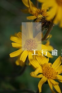 工行逾期1天会上征信吗6 工行逾期1天会上征信吗6