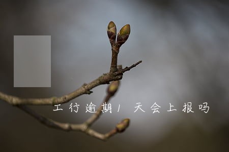工行逾期1天会上报吗 工行逾期1天会上报吗