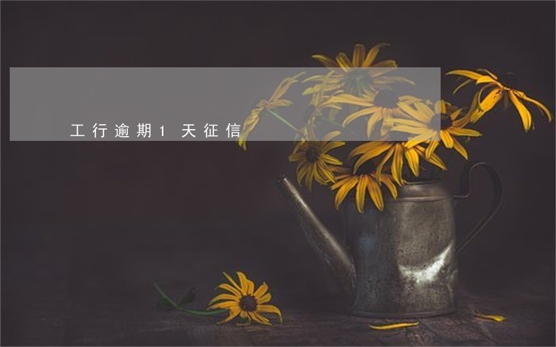 工行逾期1天征信 工行逾期1天征信