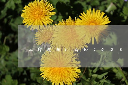 工行逾期1天扣了023元