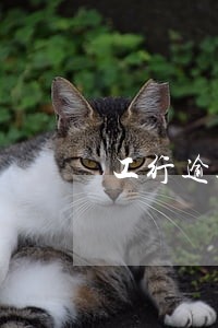 工行逾期1天没事吧 工行逾期1天没事吧