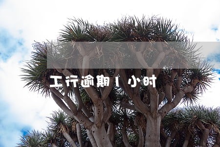 工行逾期1小时 工行逾期1小时