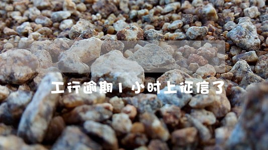 工行逾期1小时上征信了 工行逾期1小时上征信了