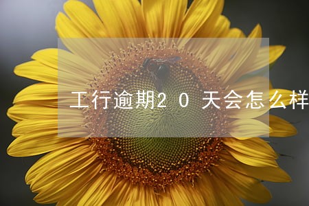 工行逾期20天会怎么样 工行逾期20天会怎么样