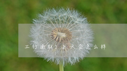 工行逾期22天会怎么样 工行逾期22天会怎么样