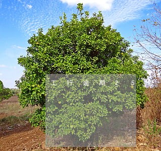 工行逾期25号账单日前还款 工行逾期25号账单日前还款
