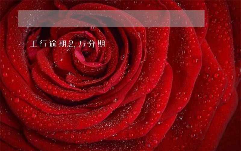 工行逾期2万分期 工行逾期2万分期