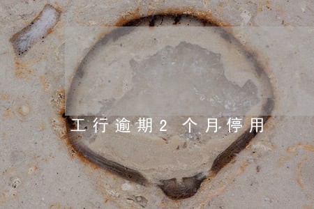 工行逾期2个月停用 工行逾期2个月停用