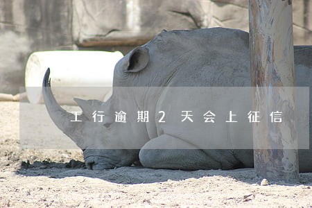 工行逾期2天会上征信 工行逾期2天会上征信