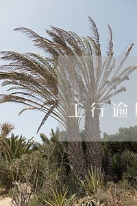 工行逾期2天要紧吗 工行逾期2天要紧吗