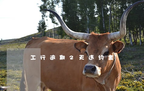 工行逾期2天违约金 工行逾期2天违约金