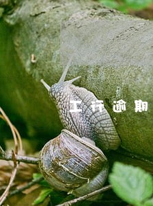 工行逾期2天违约金会影响征信吗 工行逾期2天违约金会影响征信吗