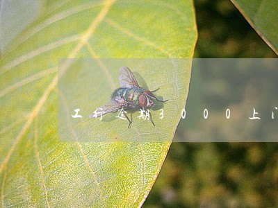 工行逾期3000上门催收吗 工行逾期3000上门催收吗