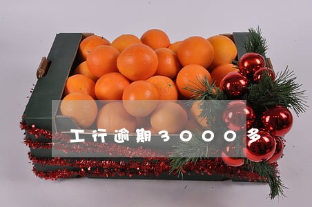 工行逾期3000多 工行逾期3000多