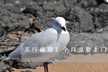 工行逾期3个月说要上门 工行逾期3个月说要上门