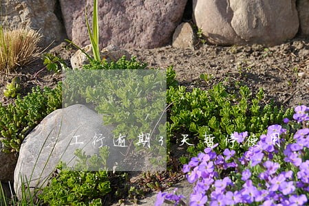 工行逾期3天暂停使用 工行逾期3天暂停使用