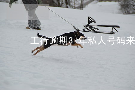 工行逾期3年私人号码来电 工行逾期3年私人号码来电