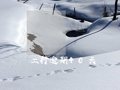 工行逾期40天 工行逾期40天