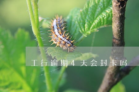 工行逾期4天会封卡吗 工行逾期4天会封卡吗