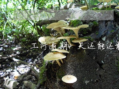 工行逾期4天还能还最低吗 工行逾期4天还能还最低吗