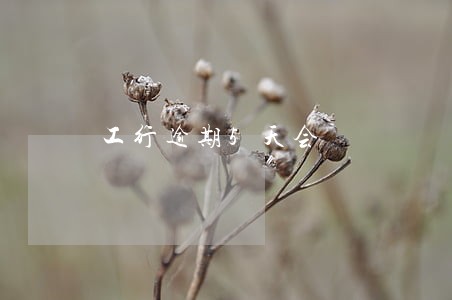 工行逾期5天会 工行逾期5天会