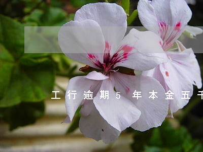 工行逾期5年本金五千要还多少 工行逾期5年本金五千要还多少