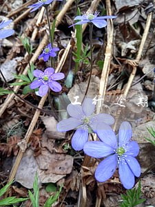工行逾期6个月 工行逾期6个月