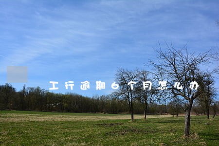 工行逾期6个月怎么办 工行逾期6个月怎么办