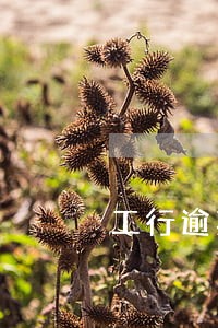 工行逾期6天上征信了吗 工行逾期6天上征信了吗