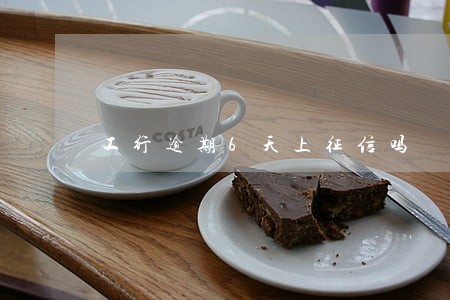 工行逾期6天上征信吗 工行逾期6天上征信吗