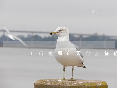 工行逾期6天会上征信么 工行逾期6天会上征信么