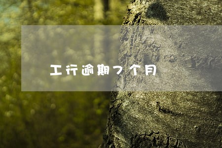 工行逾期7个月