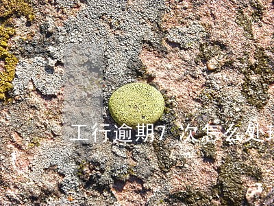 工行逾期7次怎么处理