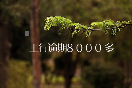 工行逾期8000多 工行逾期8000多