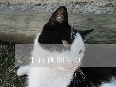 工行逾期90 工行逾期90