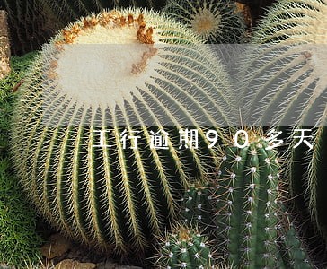 工行逾期90多天 工行逾期90多天