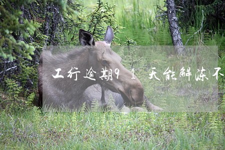 工行逾期91天能解冻不 工行逾期91天能解冻不