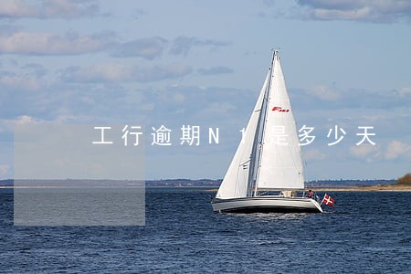 工行逾期N1是多少天 工行逾期N1是多少天